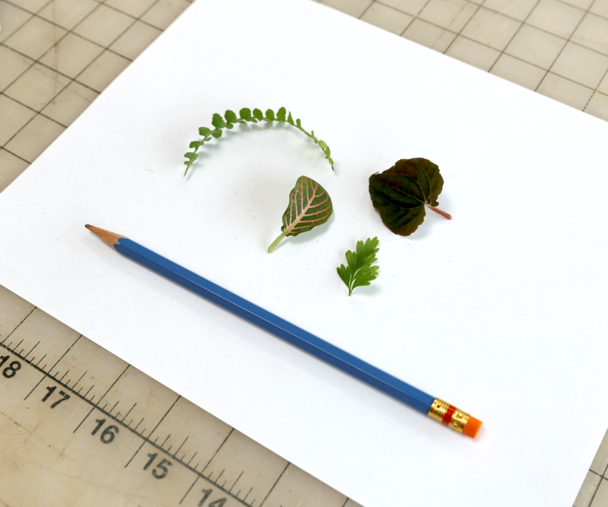 pencil 25.jpg