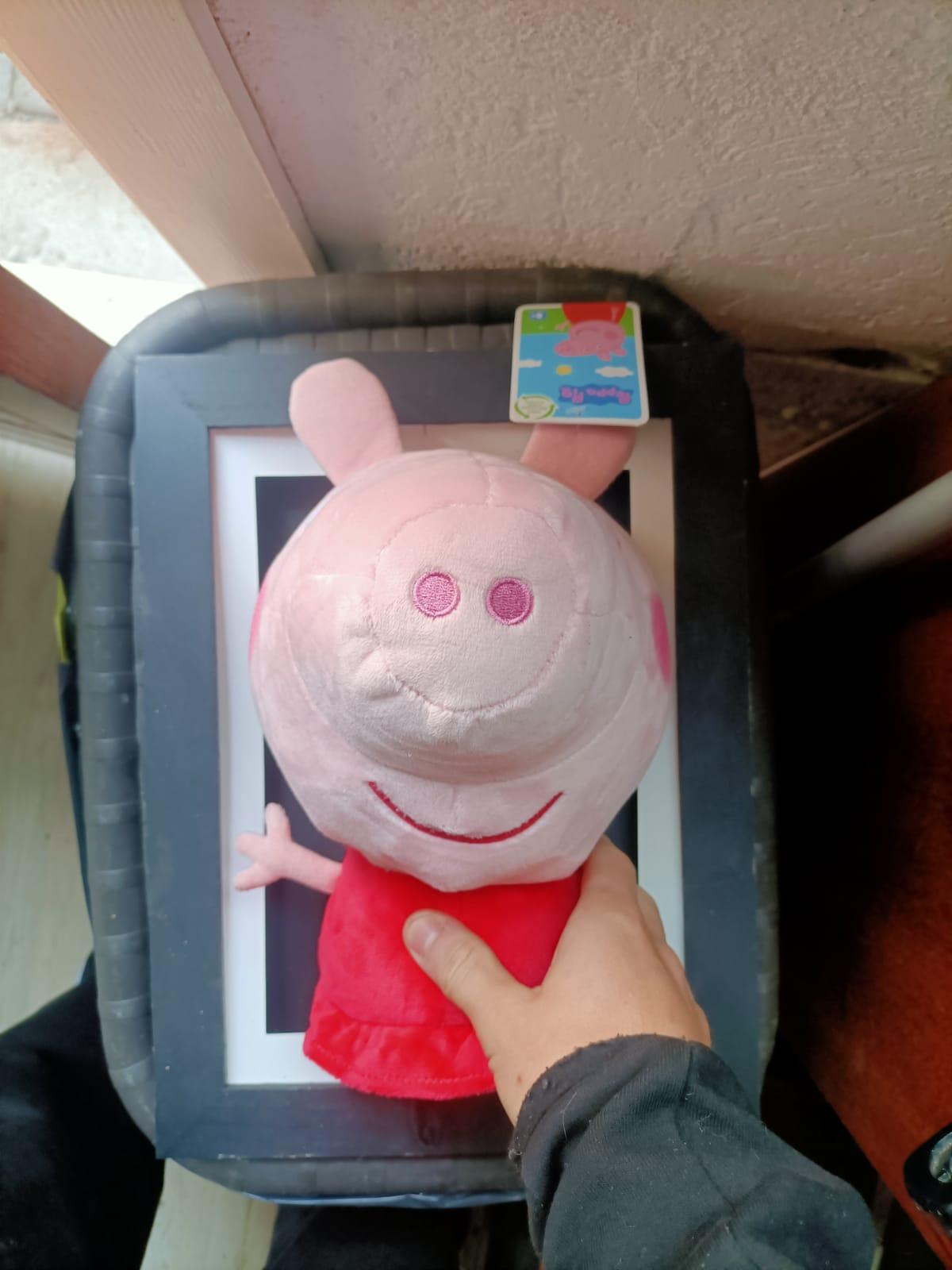 peppa size.jpeg