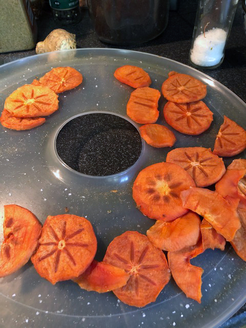 persimmons_sliced.jpg