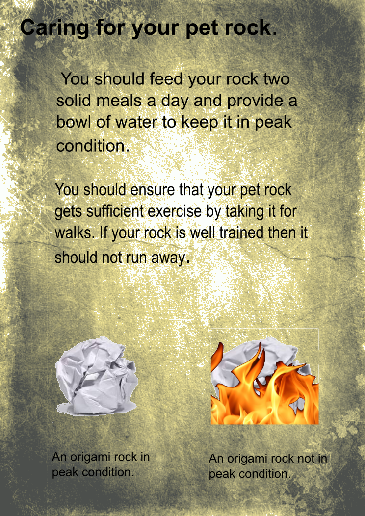 pet origami rock manual page 6 final.png