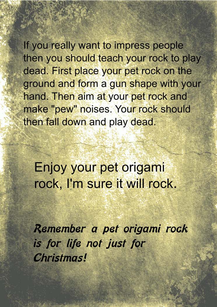 pet origami rock manual page 8 final.png