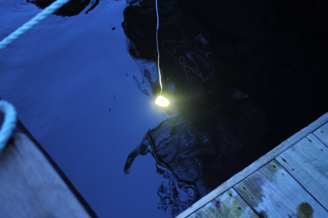 pet-bottle-light-s05.JPG