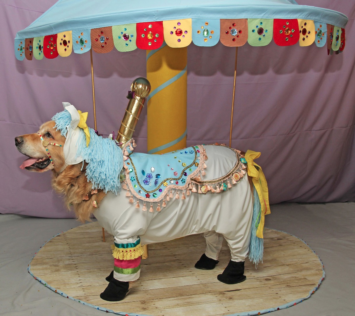 phoenixcarousel1.jpg