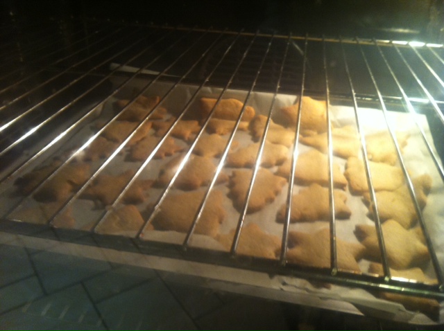 photo 2 (3).JPG