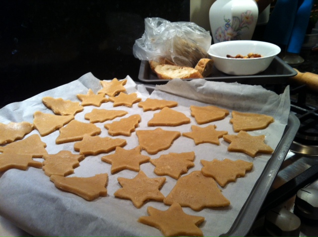 photo 5 (2).JPG