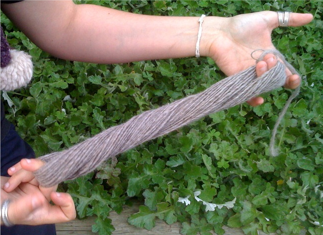 photo-41.jpg
