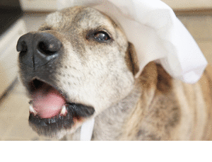 picasion.com_5c5c6d89f337ad0d4faaca4609786247.gif