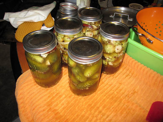 pickels06.jpg