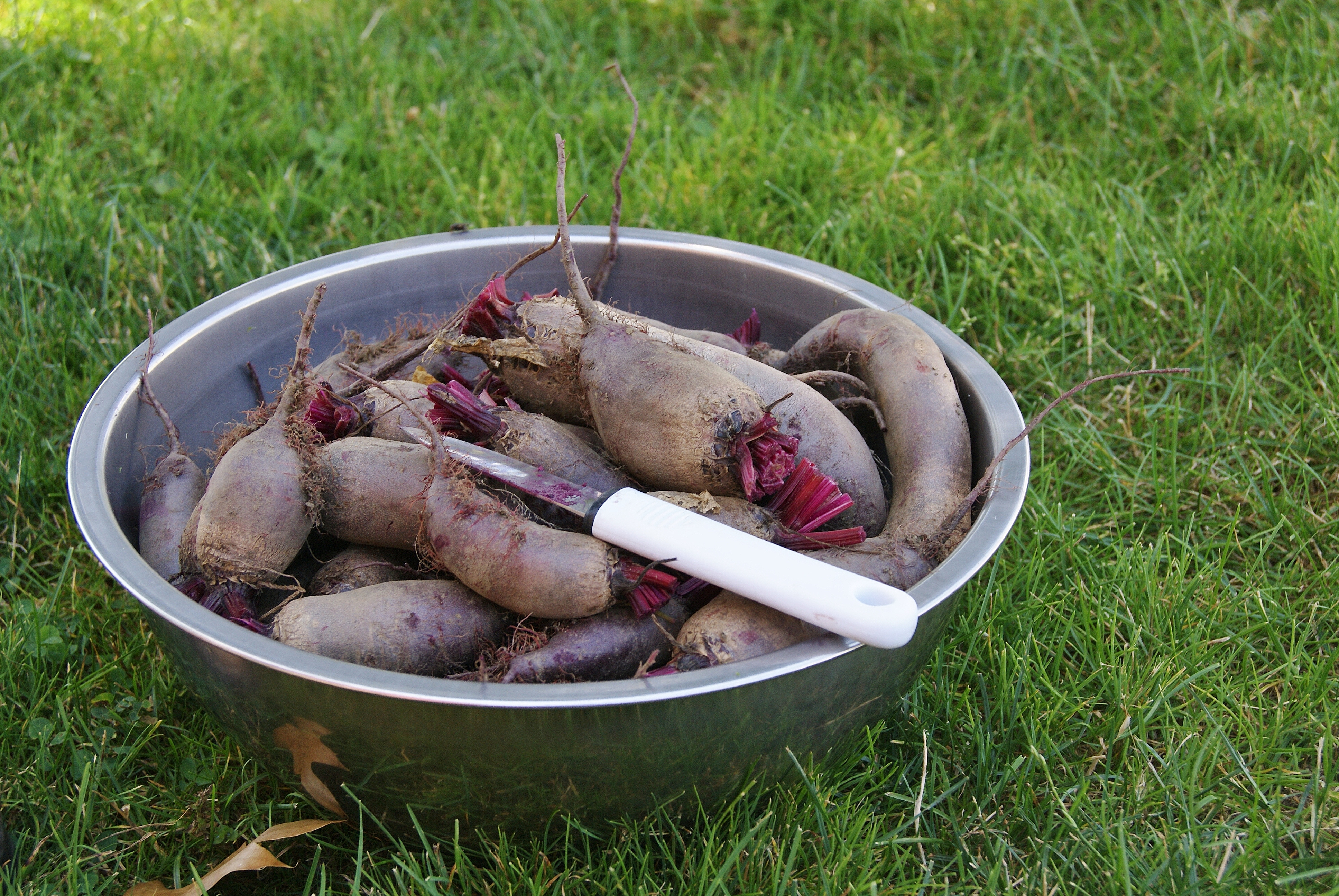 pickled beets (1).JPG