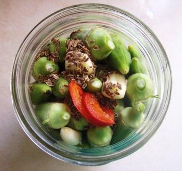 pickled-okra-ready-for-vinegar.jpg