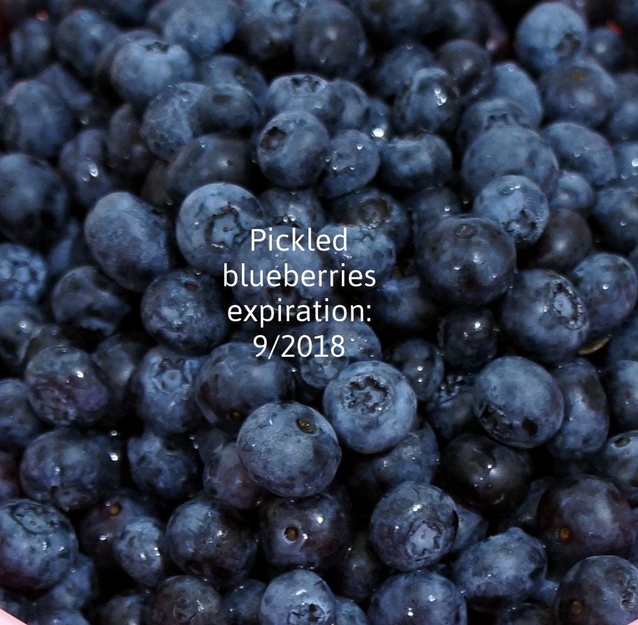 pickledblueberrieslabelprints.jpg