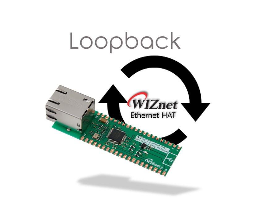 pico Loopback.jpg