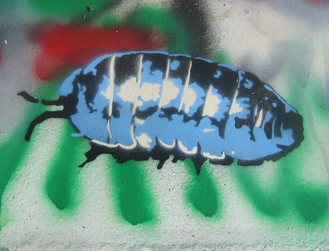 pillbug.jpg