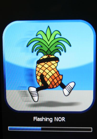 pineapple2.jpg