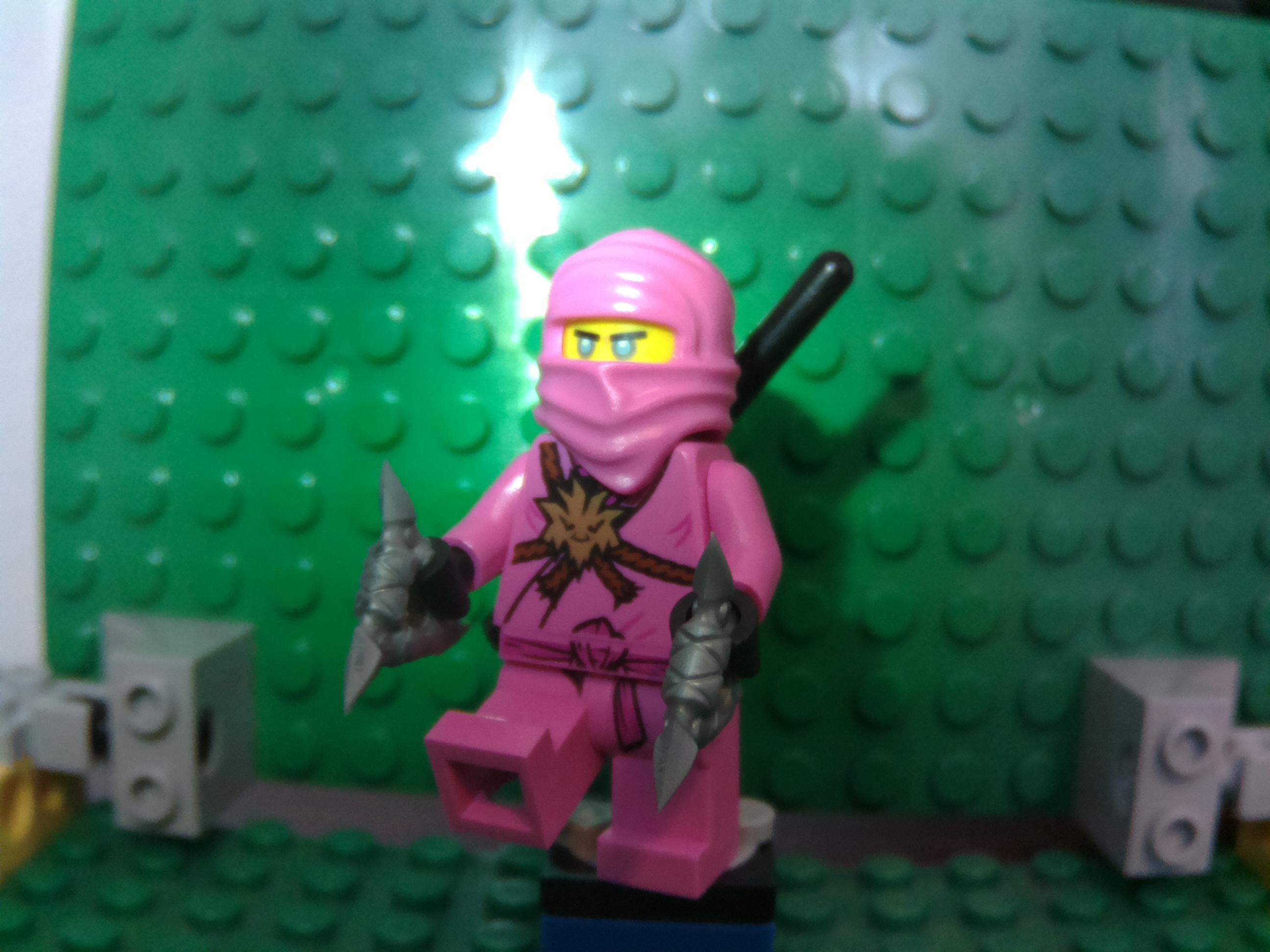 pink ninja 1 plain.jpg