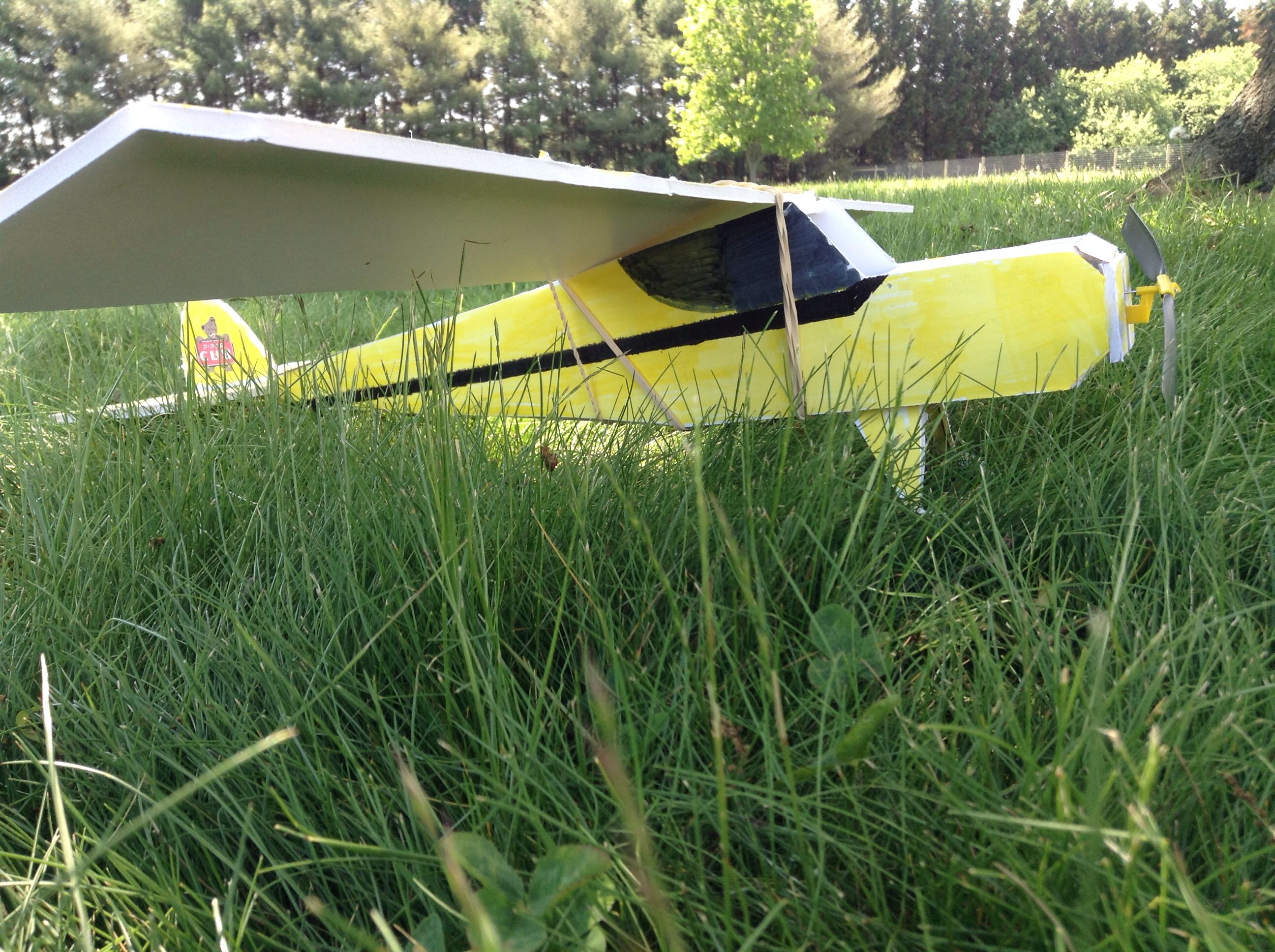 piper cub pic4.jpg