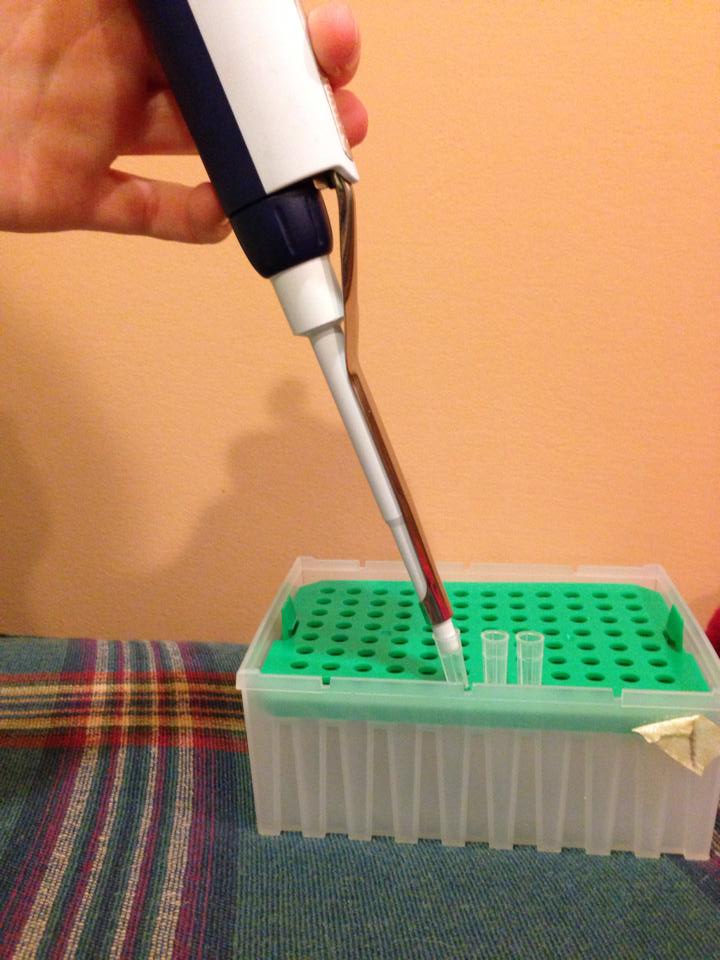 pipette 5.jpg