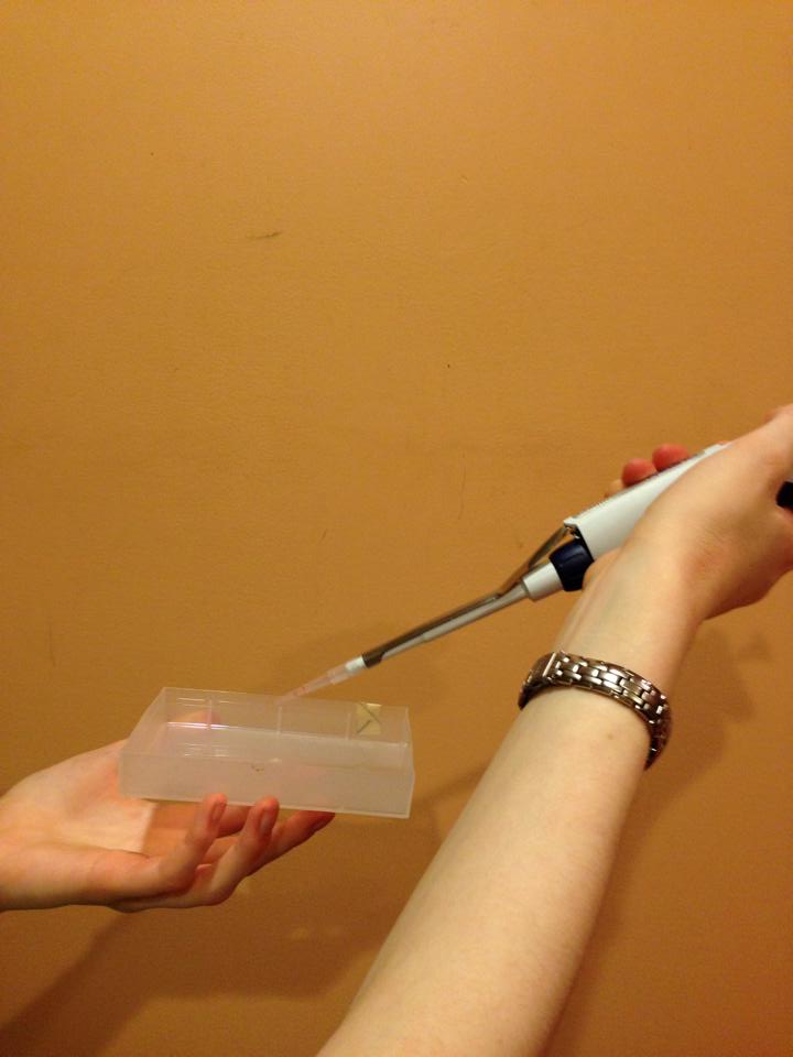 pipette 9.jpg