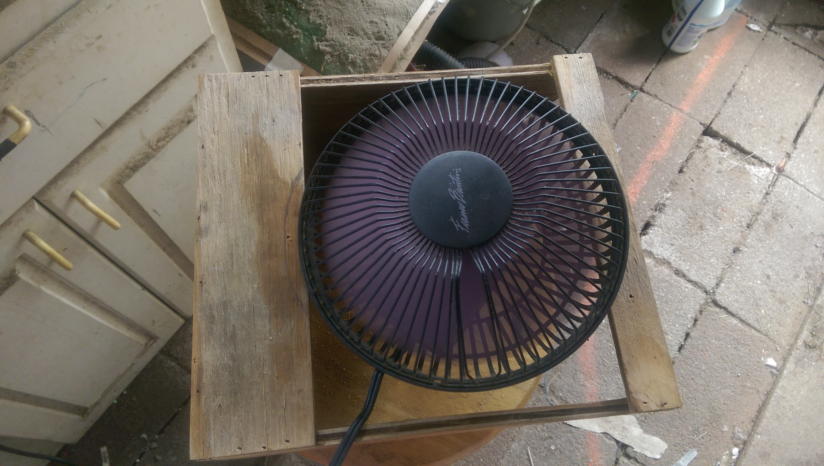 placing fan.jpg