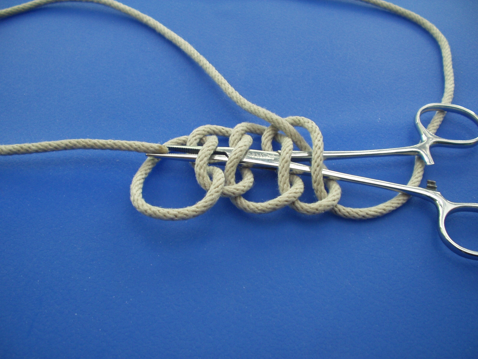 plafond knot 003.JPG