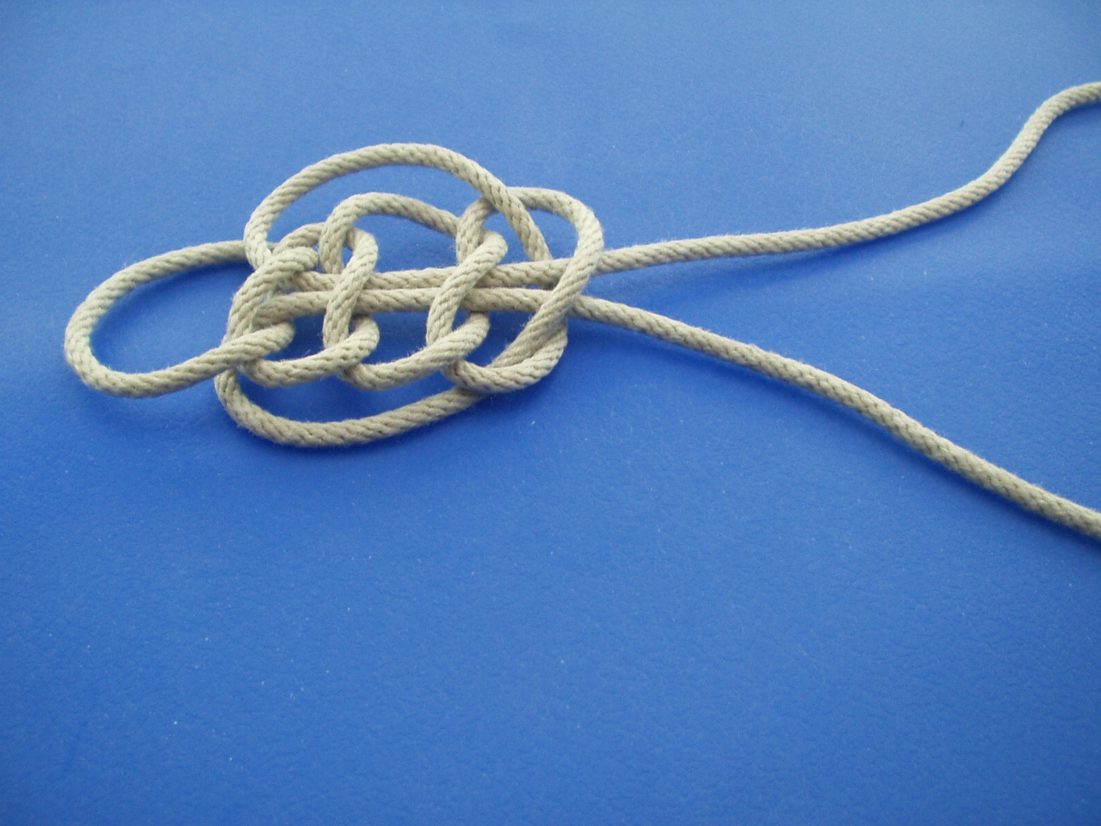 plafond knot 005.JPG