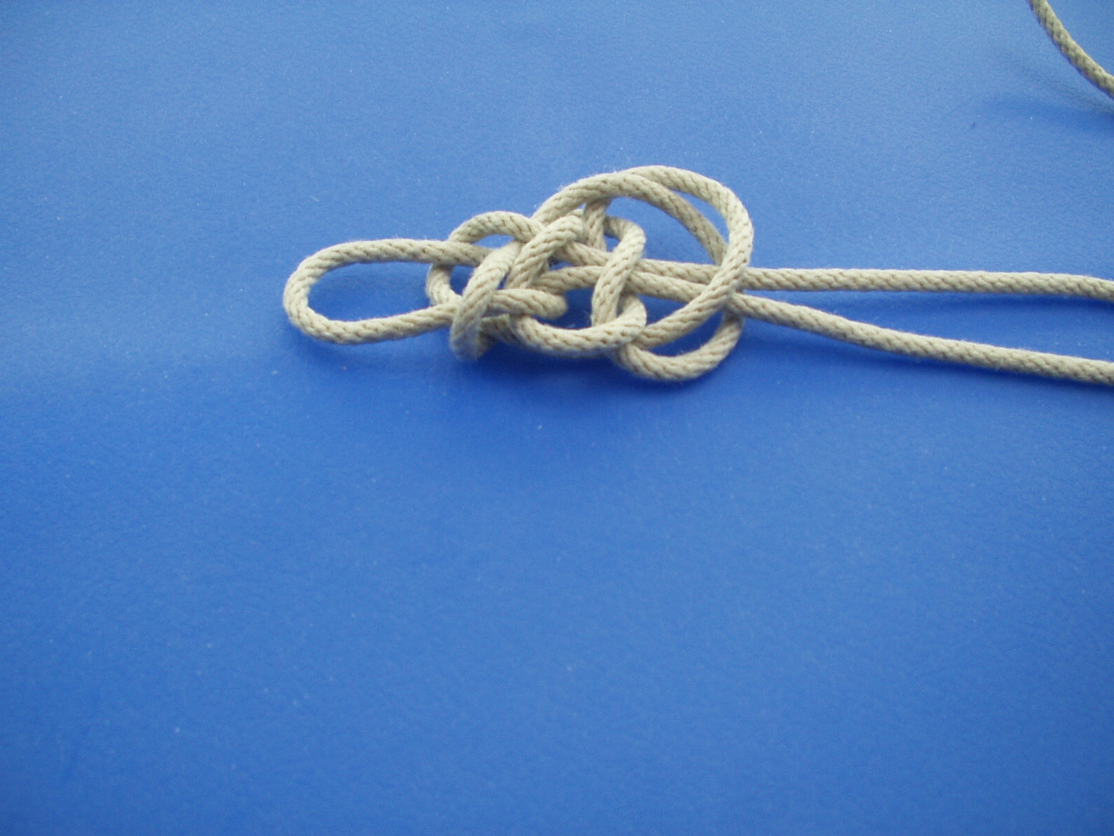 plafond knot 007.JPG