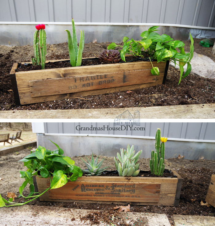 plant-diy-flower-boxes.jpg