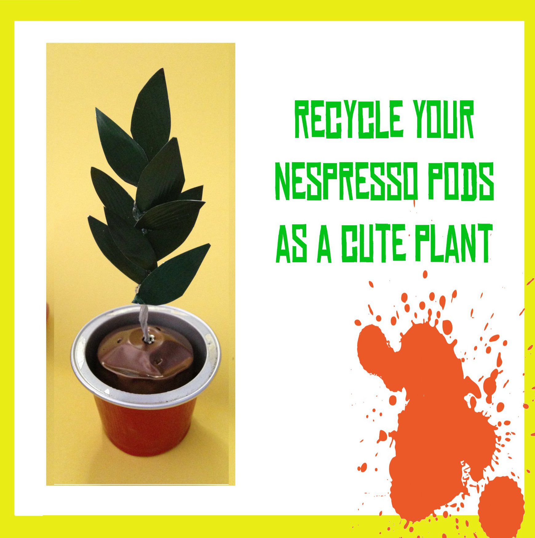 plant.jpg