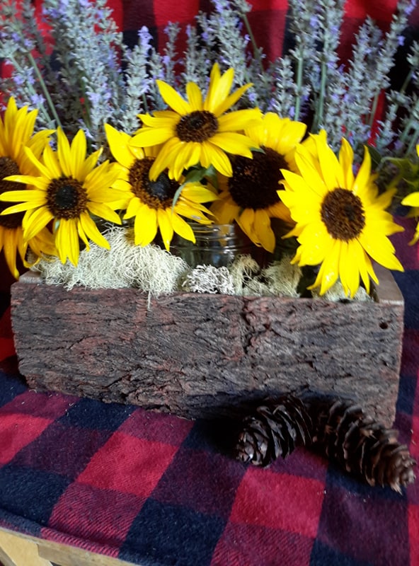 planter 1.jpg