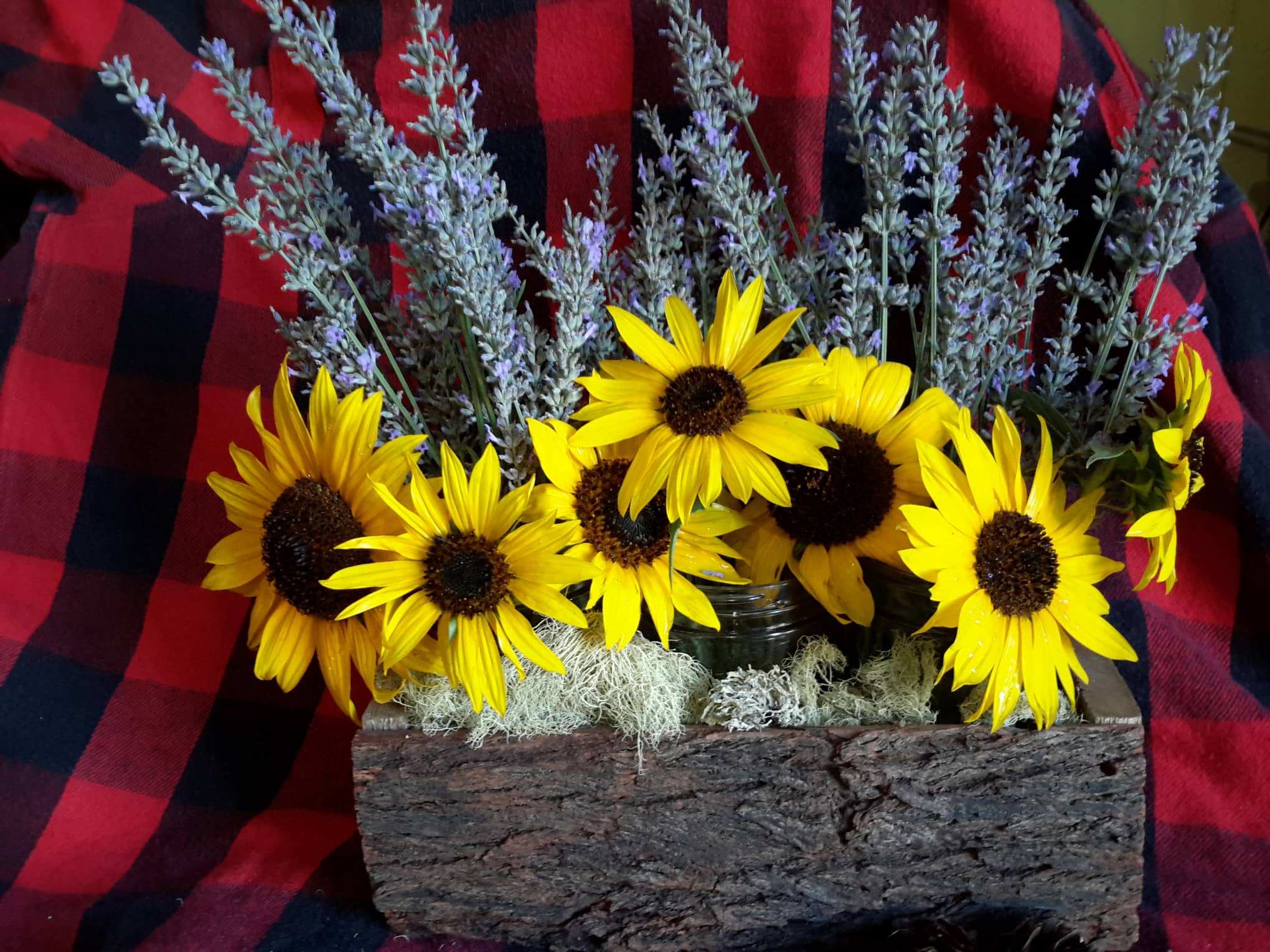 planter 1a.jpg