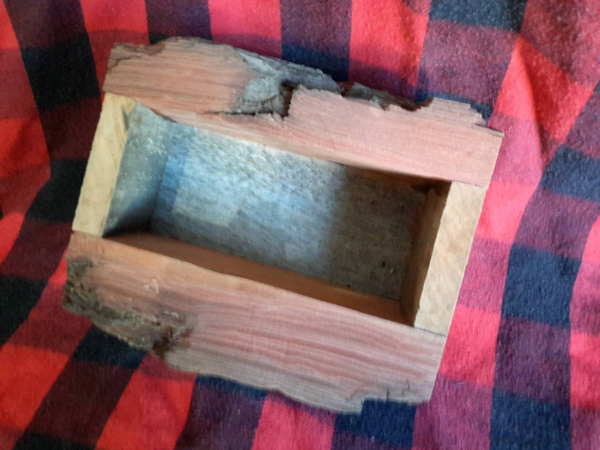 planter2a.jpg
