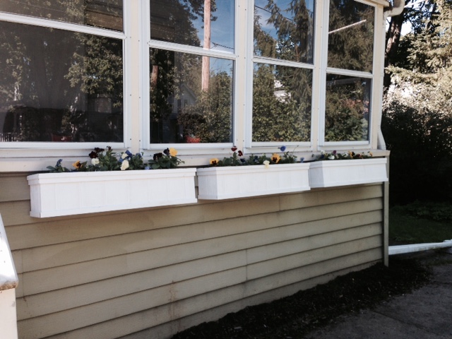 planters with flowers.JPG