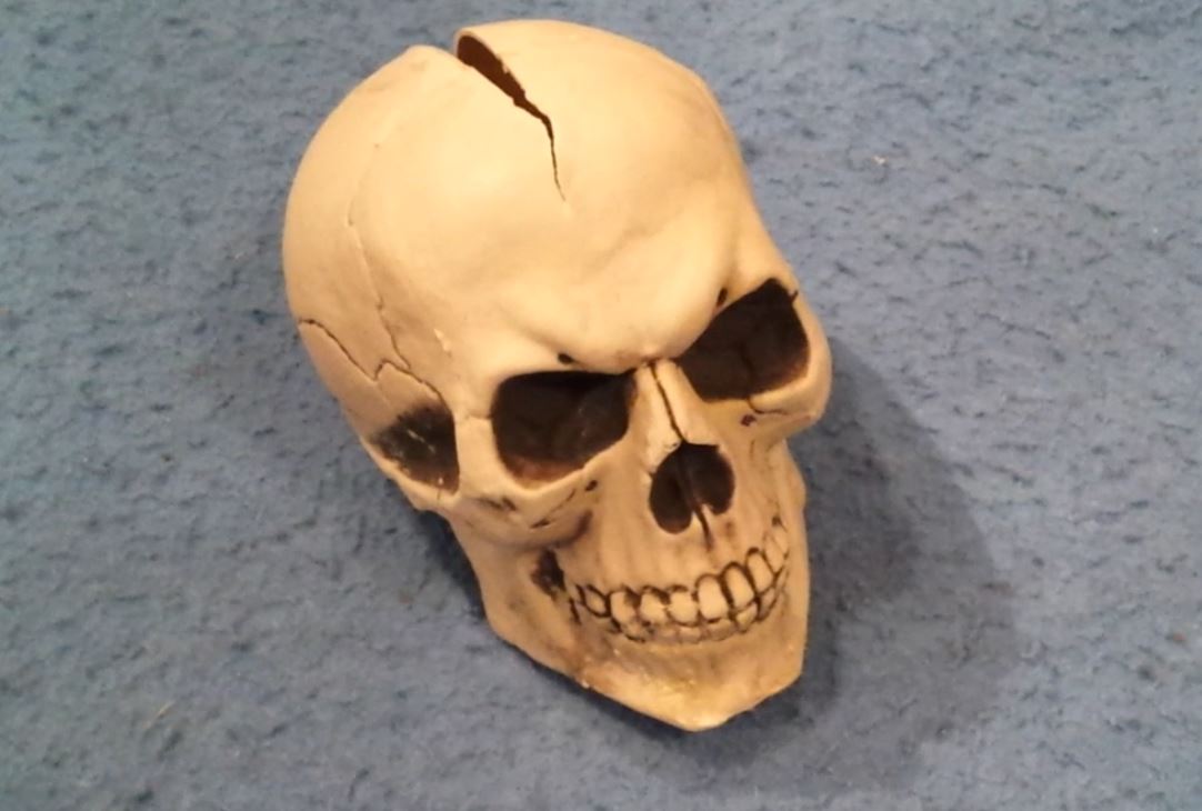 plastic skull.JPG