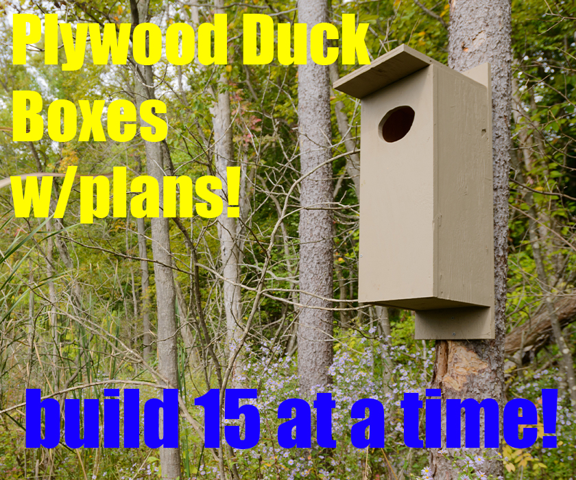 plywood duck box plans.jpg