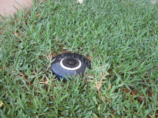 pop up sprinkler 4 (ground level).JPG