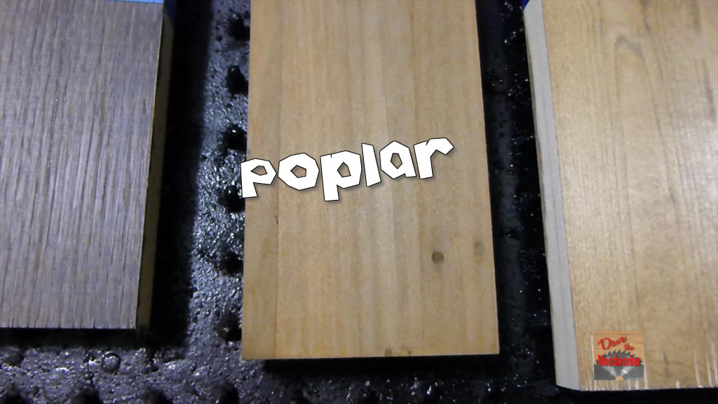 poplar .jpg