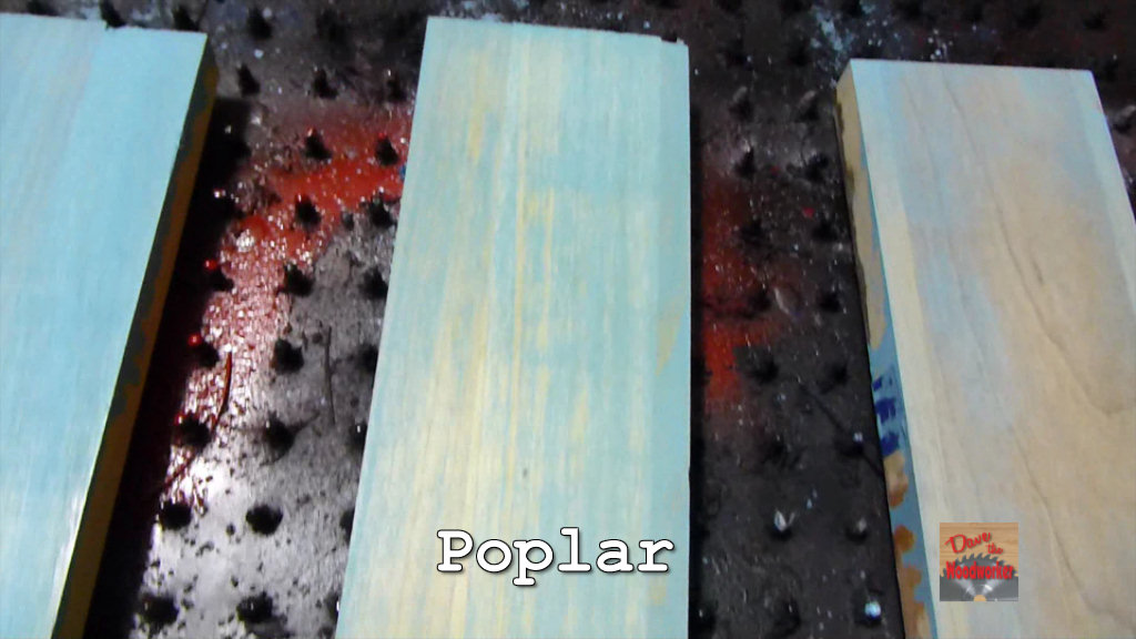 poplar1.jpg