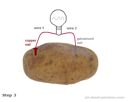 potato-electricity3.png