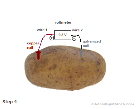 potato-electricity4.png