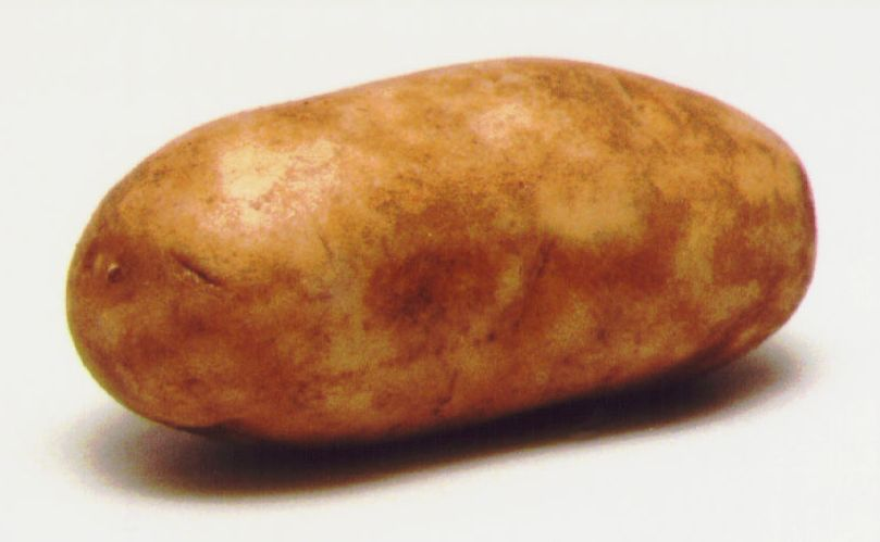 potato.bmp