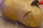 potatoes.png