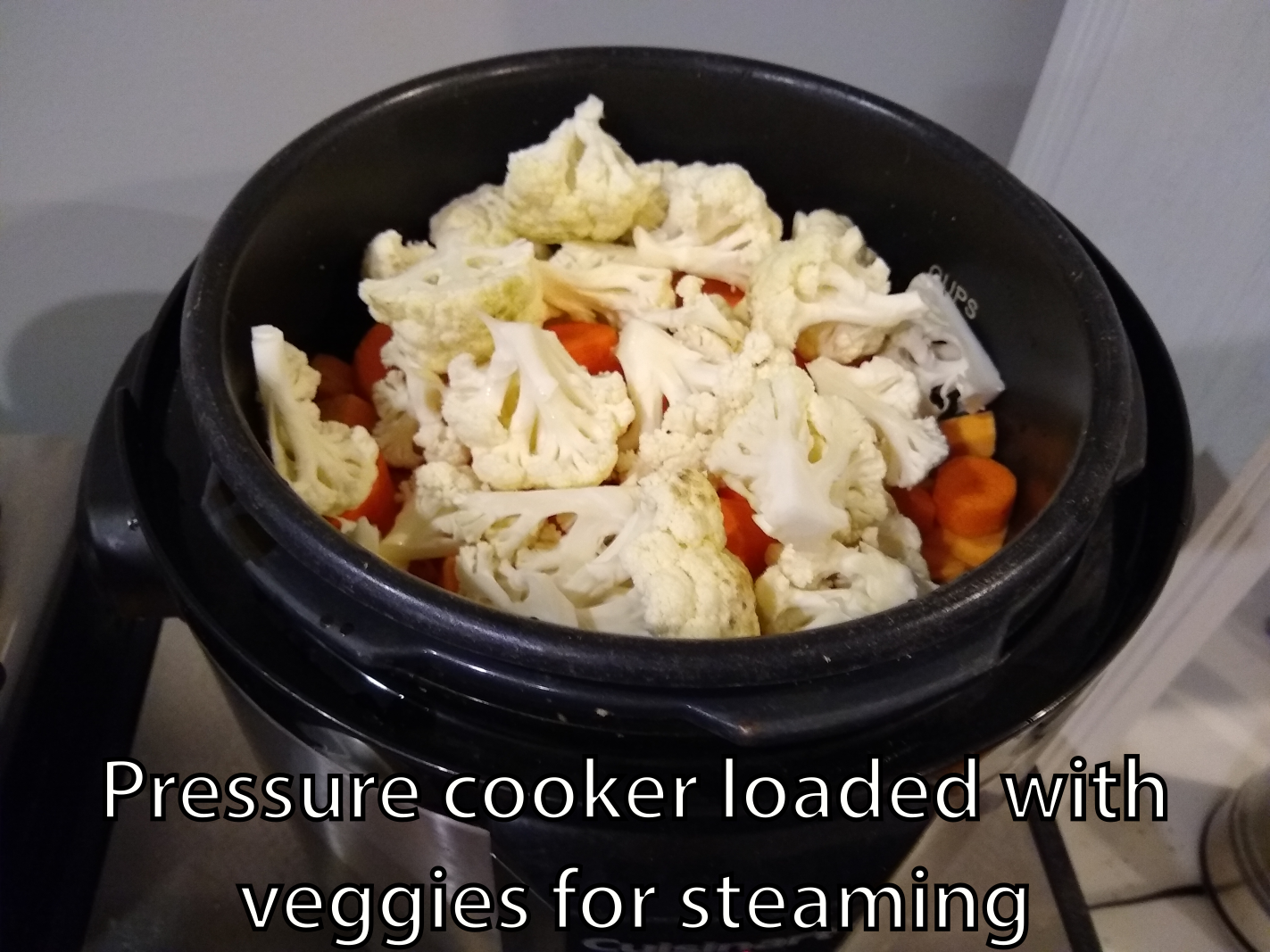 pressure cooker.png