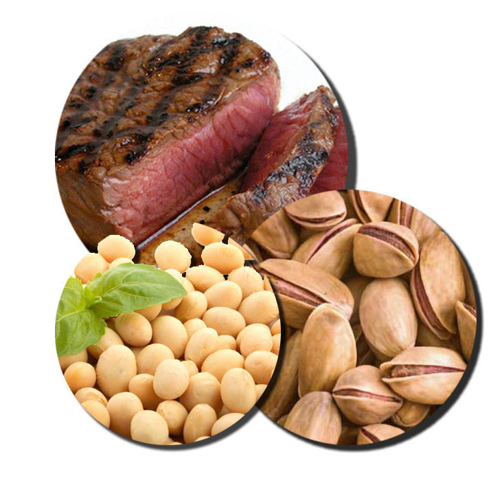 protein.jpg