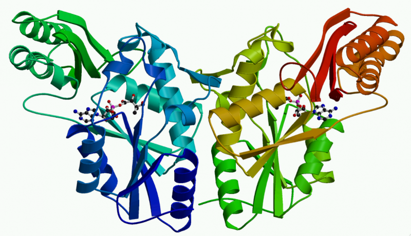 protein_structure_tb.png