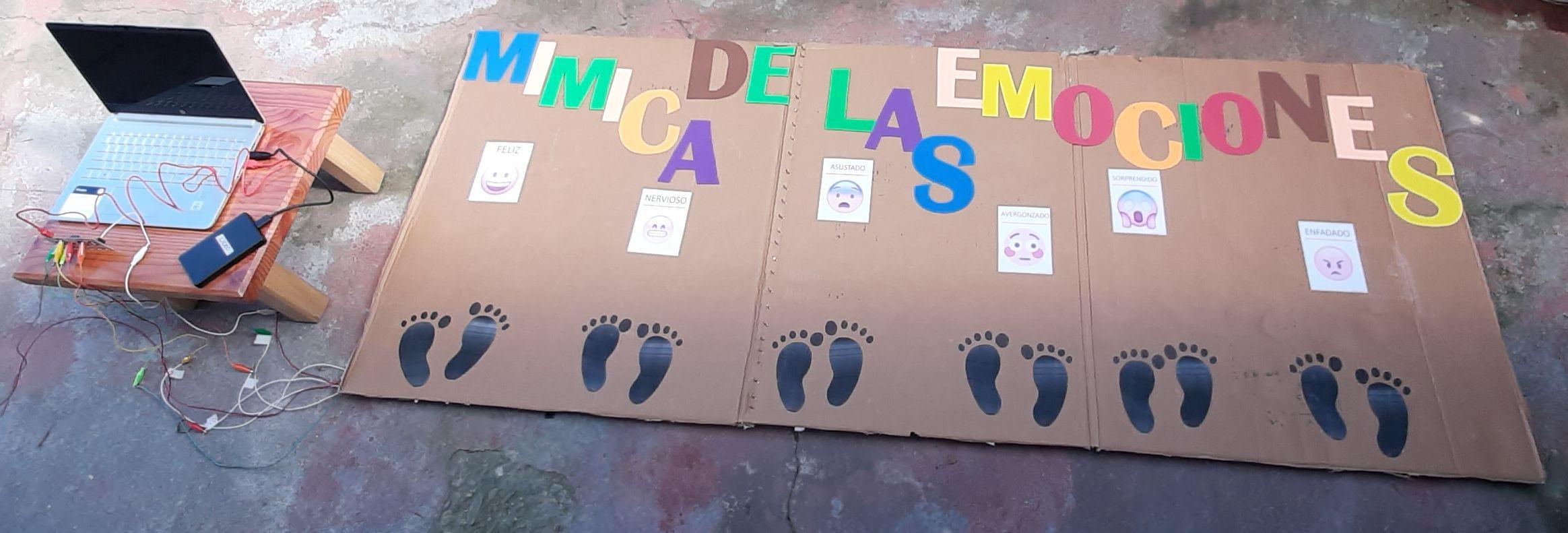 proyecto mimica de las emociones.jpg