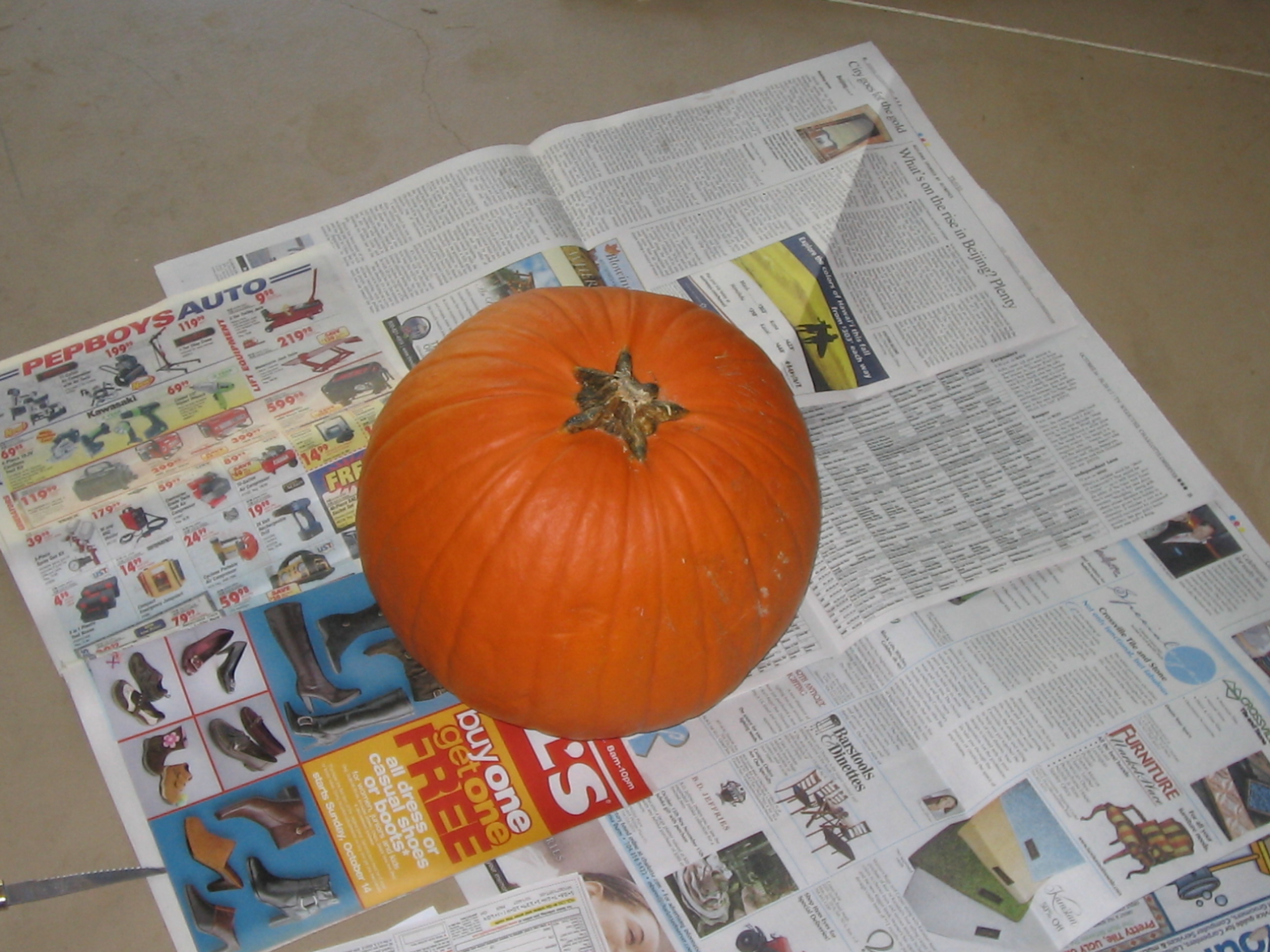 pumpkin 001.jpg