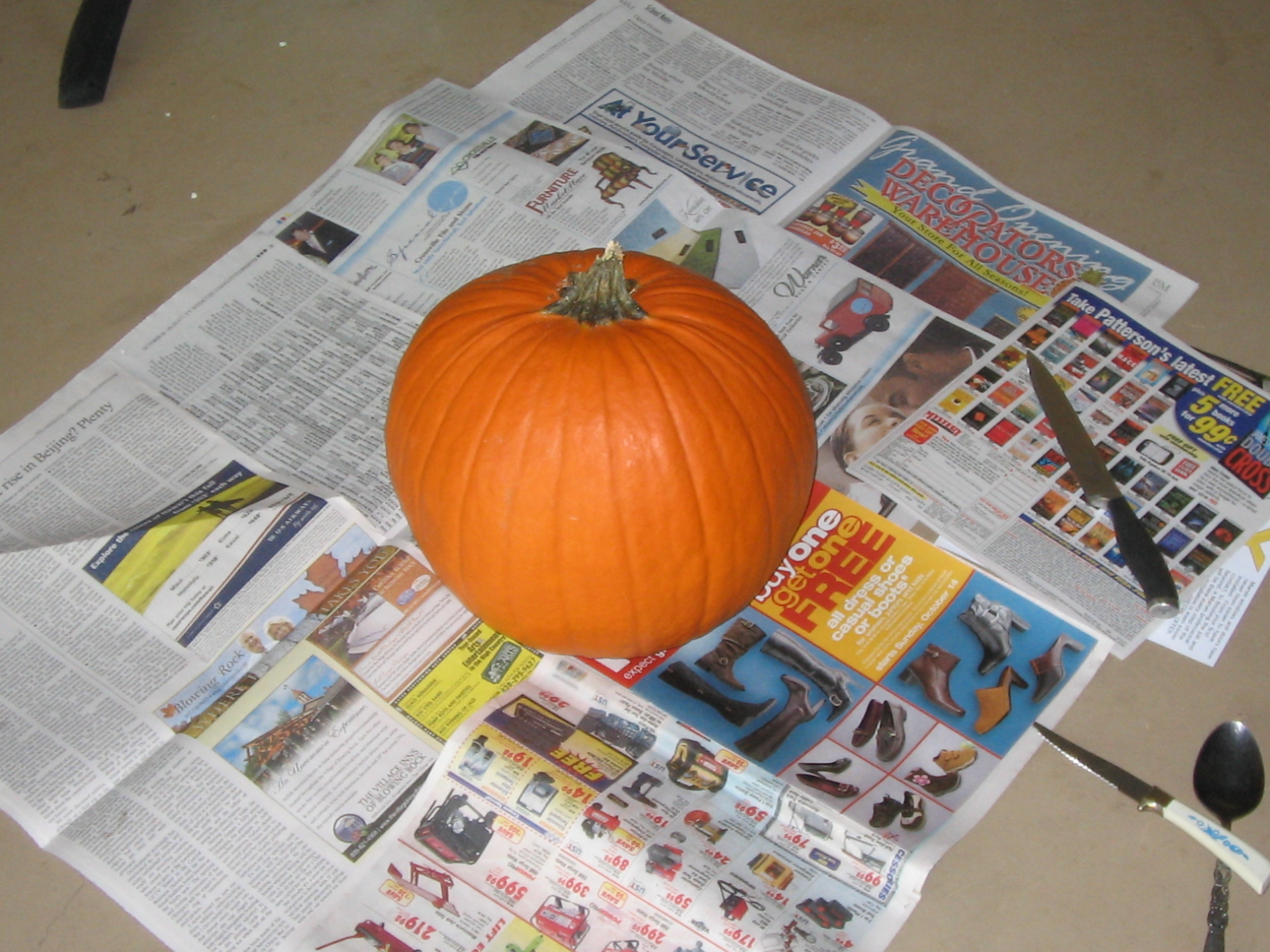 pumpkin 002.jpg