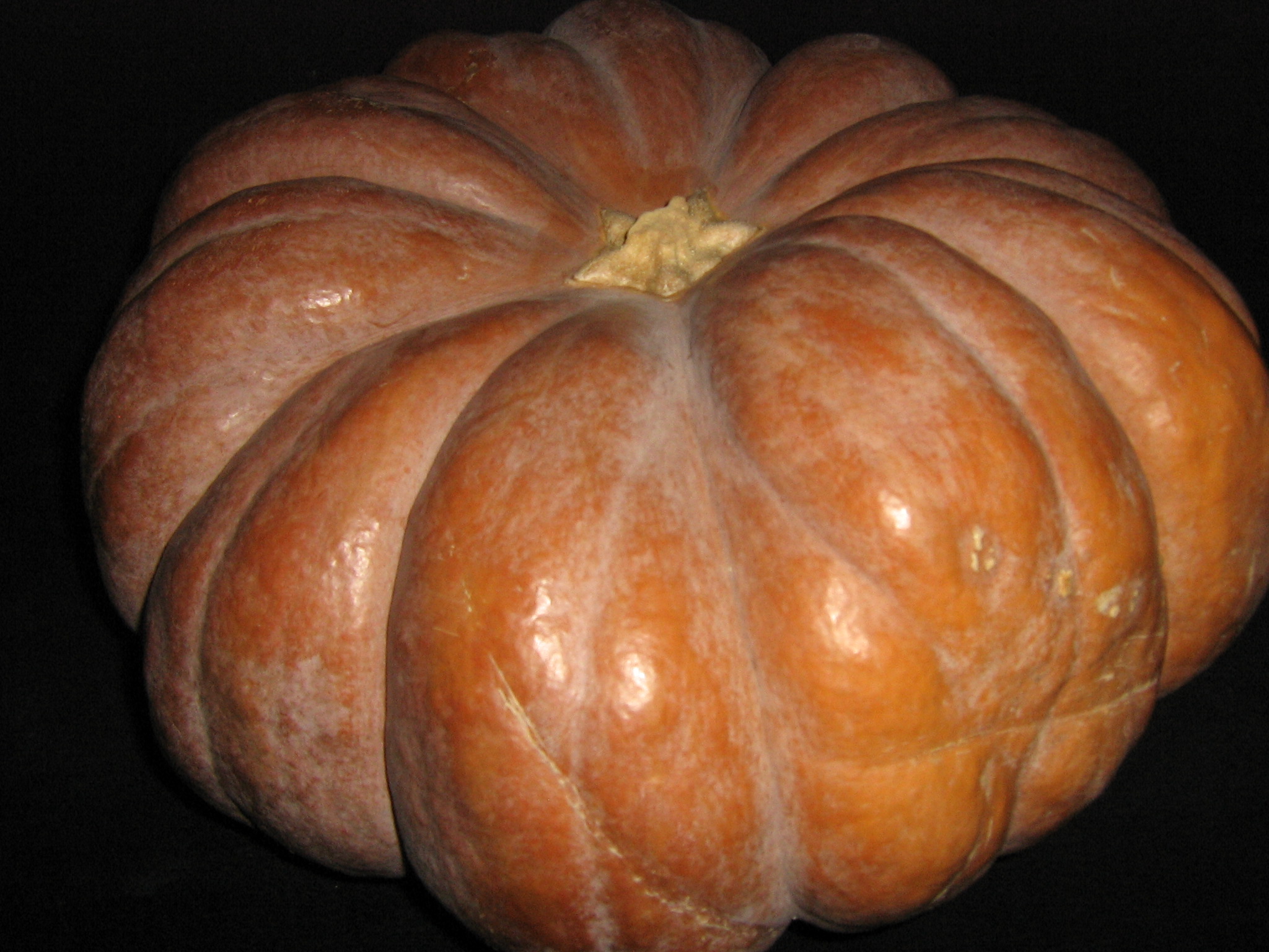 pumpkin 003.jpg