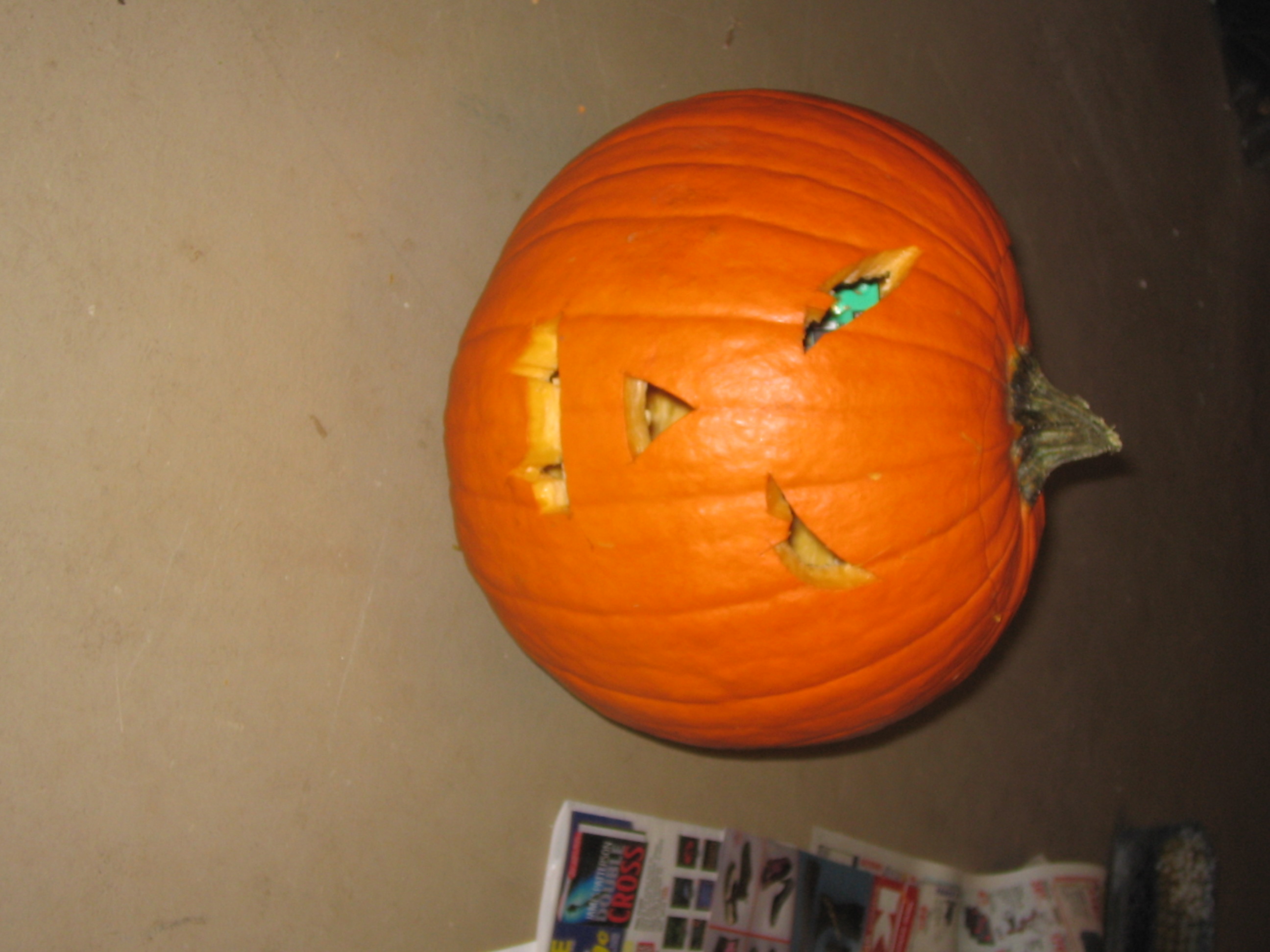 pumpkin 008.jpg