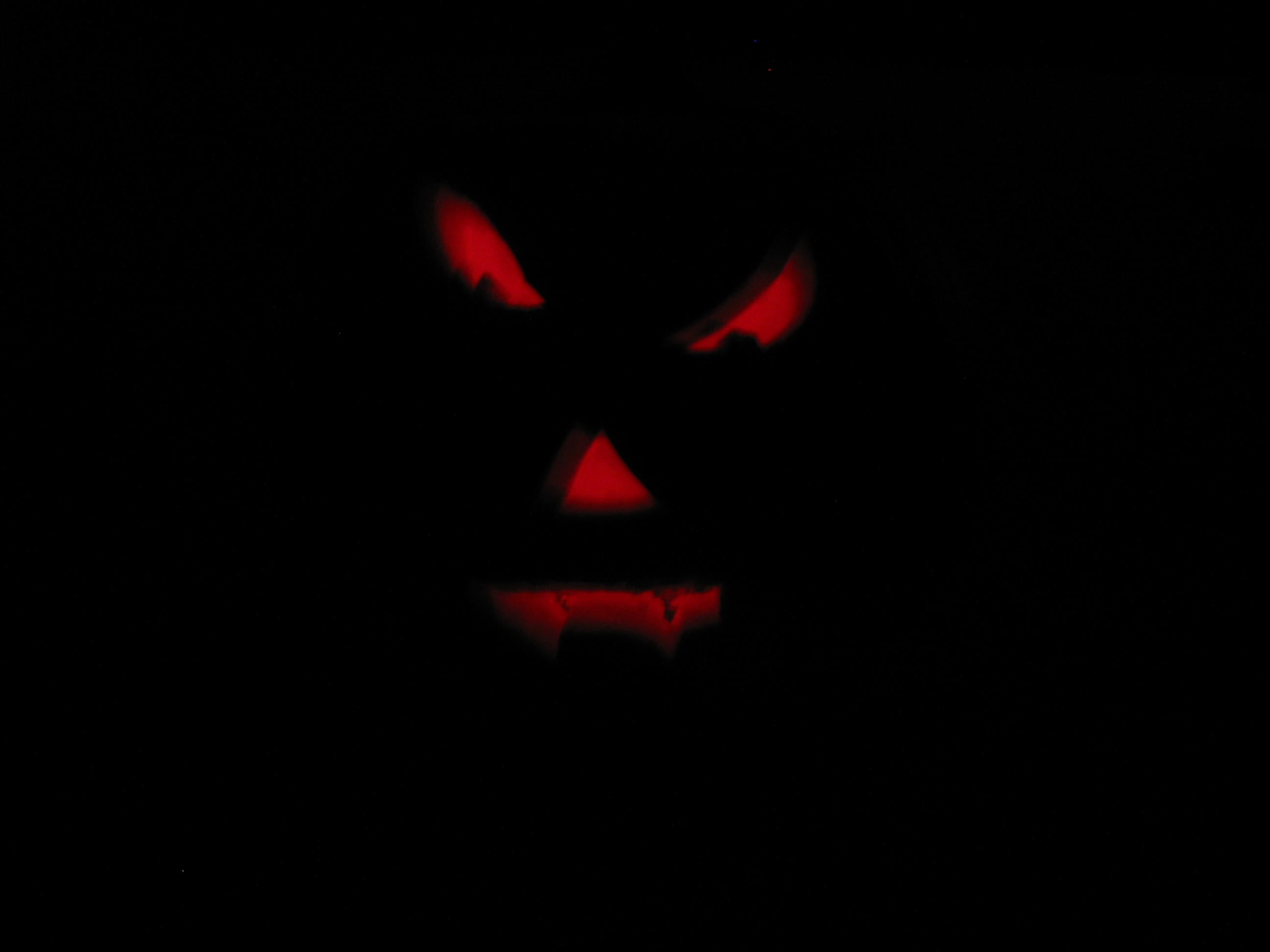 pumpkin 024.jpg